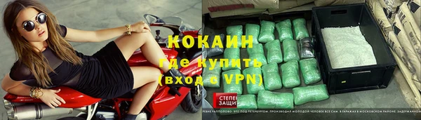 apvp Магас