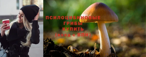 метамфетамин Майский