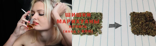 крисы Магадан