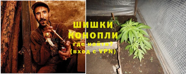apvp Магас