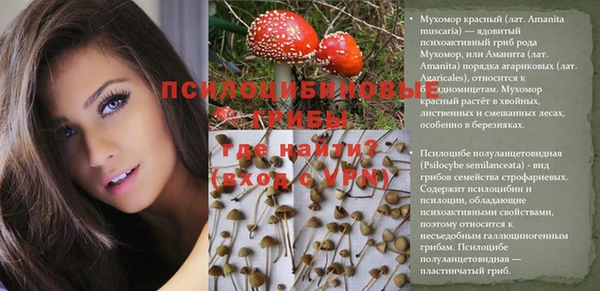 крисы Магадан