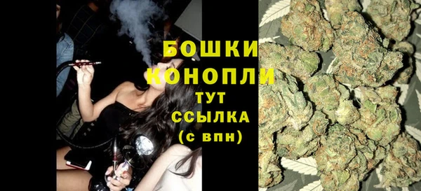 крисы Магадан