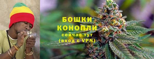 крисы Магадан