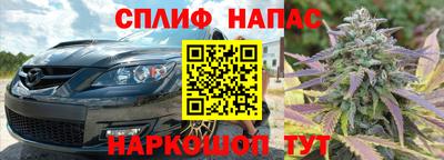 PSILOCYBIN Гусиноозёрск