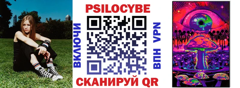 Галлюциногенные грибы Psilocybine cubensis  Михайловка 