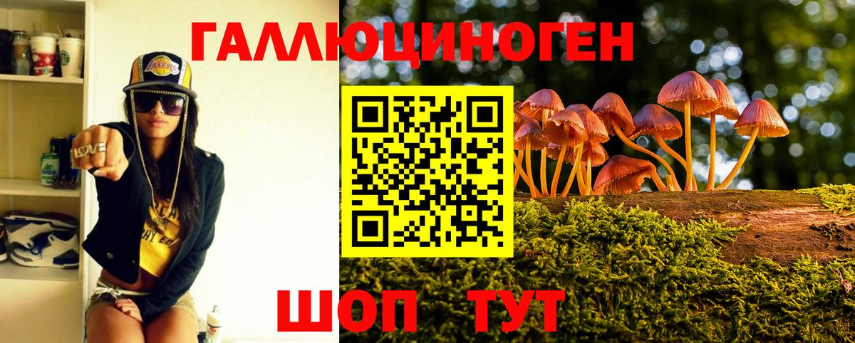 Михайловка  Псилоцибиновые грибы мухоморы  Вход с VPN 