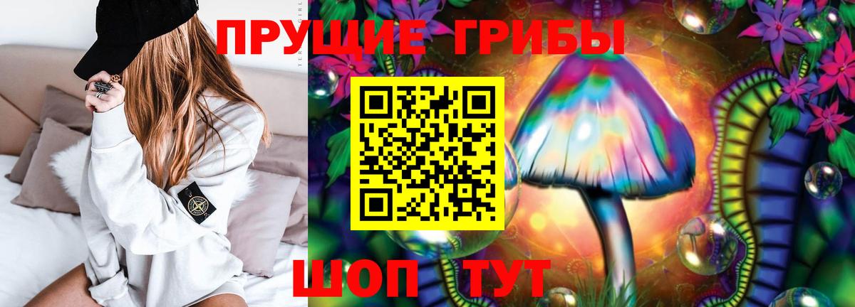 Псилоцибиновые грибы прущие грибы Михайловка